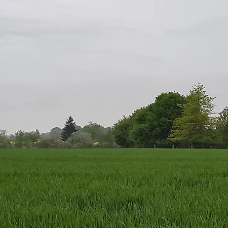 فندق مبيت وإفطار D'hotes La Breachere Yvré-lʼÉvêque