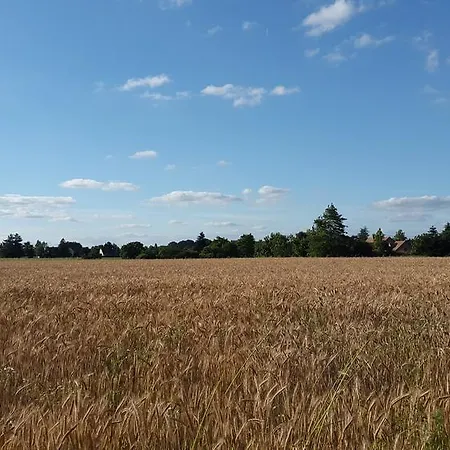 D'hotes La Breachere Yvré-lʼÉvêque