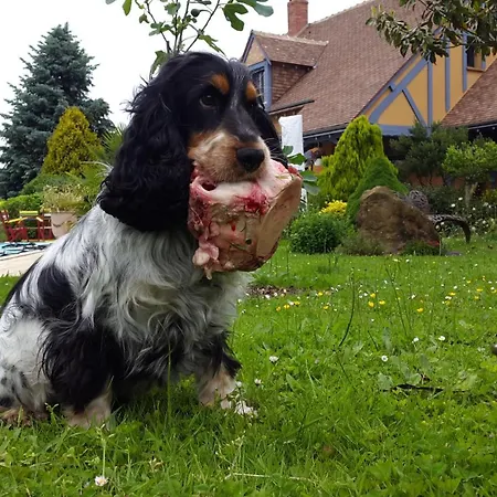 D'hotes La Breachere Yvré-lʼÉvêque