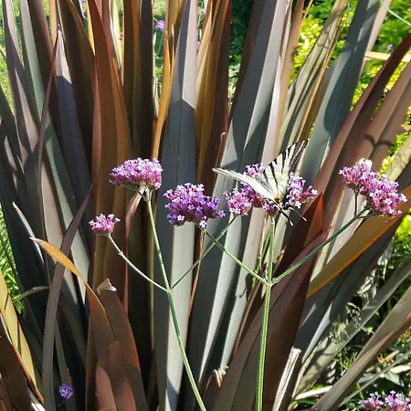 D'hotes La Breachere فندق مبيت وإفطار Yvré-lʼÉvêque