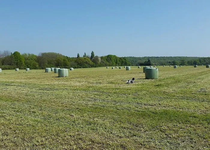 D'hotes La Breachere Bed & Breakfast *