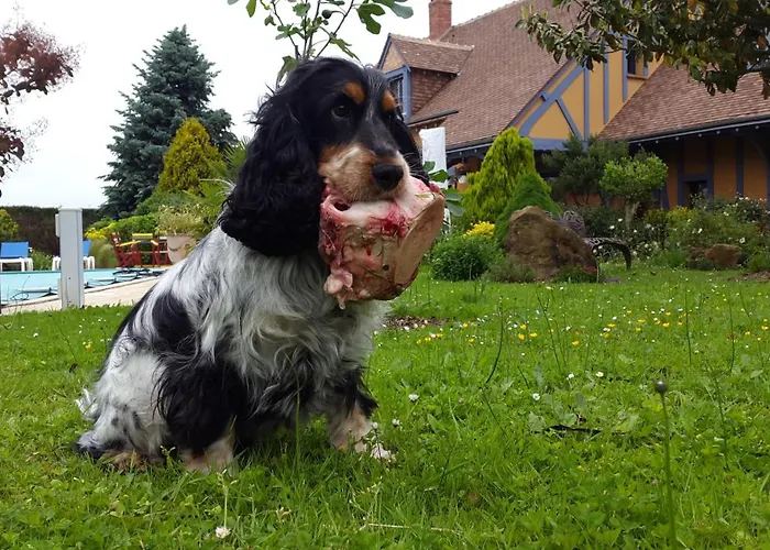 D'hotes La Breachere Yvré-lʼÉvêque