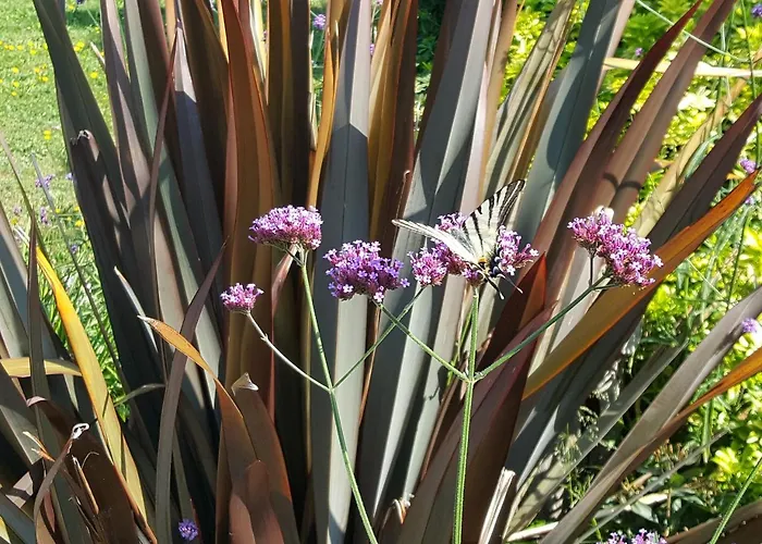 D'hotes La Breachere Bed & Breakfast Yvré-lʼÉvêque